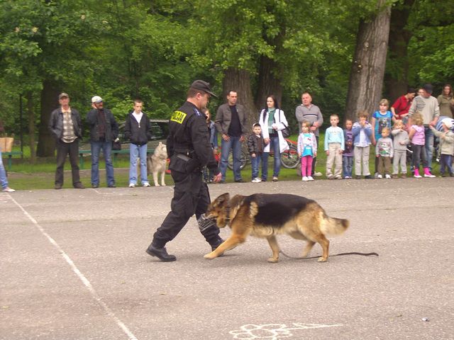 Festyn w Nakle nad Notecią 