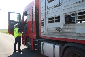 Zdjęcie przedstawia umundurowanego policjanta ruchu drogowego kontrolującego pojazd ciężarowy. policjant ma ubrana tez żółtą kamizelkę.