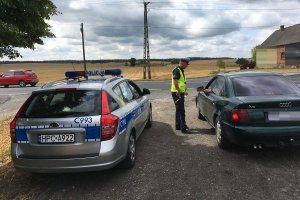 Zdjęcie przedstawia policjanta ruchu drogowego kontrolującego auto osobowe. Po lewej stronie fotografii widać oznakowany radiowóz.