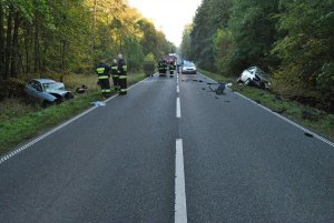 Zdjęcie przedstawia pas drogowy na których stoją pojazdy straży pożarnej i policji oraz strażacy. Po prawe i po lewej stronie drogi w rowach widoczne rozbite pojazdy.