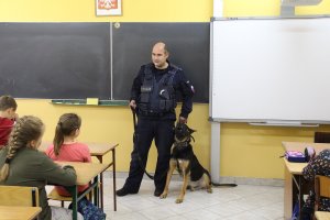 Zdjęcie przedstawia umundurowanego policjanta -  przewodnika psa wraz z psem prowadzącego w sali lekcyjnej zajęcia dla siedzących w klasie uczniów.