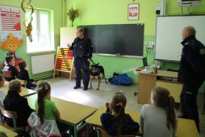 Zdjęcie przedstawia umundurowanego policjanta - przewodnika psa wraz z psem prowadzącego w sali lekcyjnej zajęcia dla siedzących w klasie uczniów.