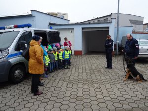 Zdjęcie przedstawia dzieci stojące wraz z opiekunkami obok oznakowanego radiowozu. Przed nimi stoi przewodnik z psem oraz policjantka.