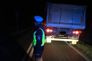 zdjęcie przedstawia na pierwszym planie stojącą na jezdni policjantkę ruchu drogowego. w tle kontrolowana  ciężarówka