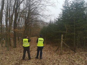 policjant i strażnik leśny sprawdzają lasy