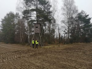 policjant i strażnik leśny wspólnie patrolują las