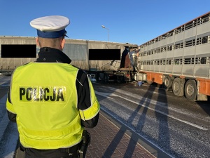 policjant na miejscu zdarzenia drogowego