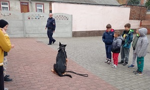 policjant z psem służbowym