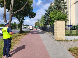 lustracja