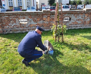 zapalenie zniczy przy Dębach Katyńskich
