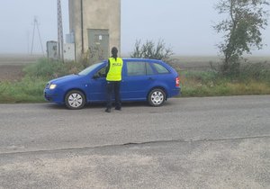 działania trzeźwy poranek