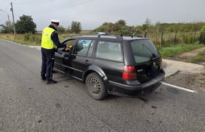 działania trzeźwy poranek